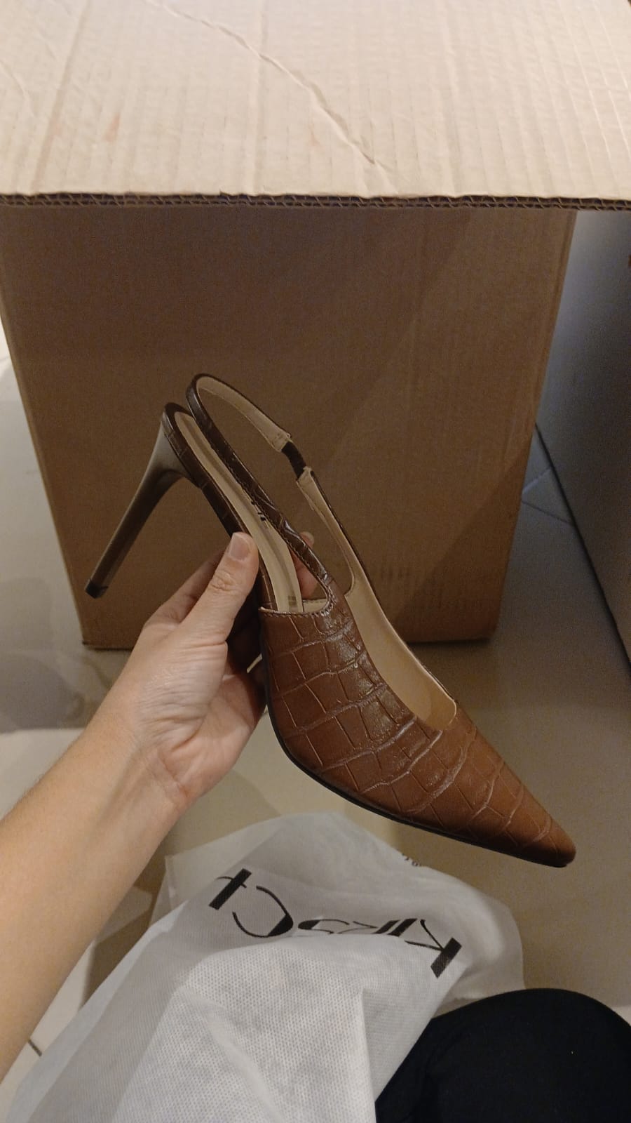 Pumps