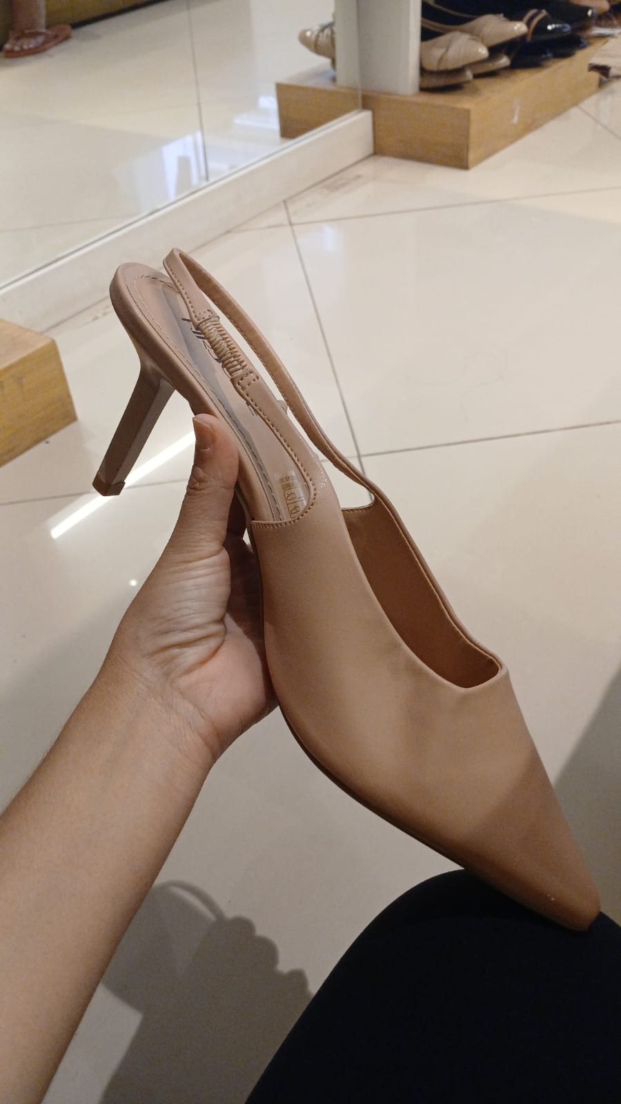 Pumps