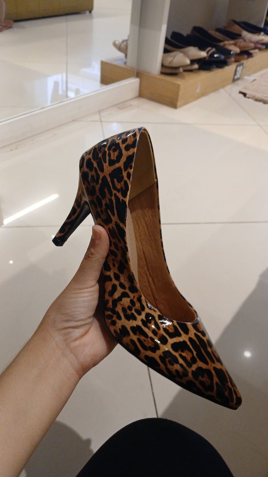Pumps